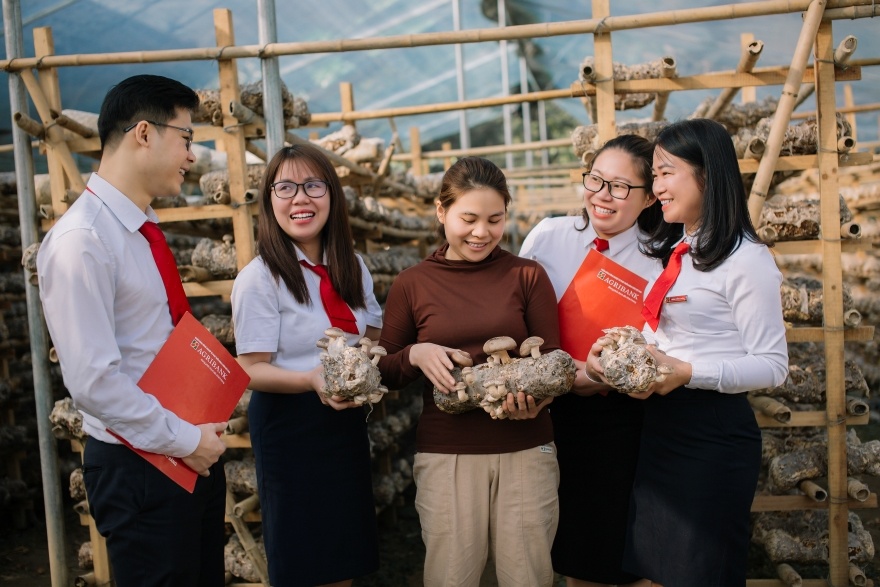 Hình ảnh: Agribank đồng hành cùng hộ kinh doanh: Kê khai thuế dễ dàng – Chuyển đổi doanh nghiệp vững vàng số 3