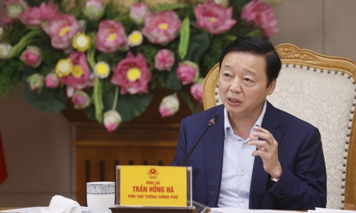 Quản lý ngành dược theo cơ chế thị trường nhưng có kiểm soát, an toàn, chất lượng