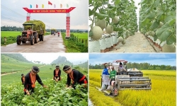 Thí điểm phân cấp cho cấp huyện trong quản lý, tổ chức thực hiện các chương trình mục tiêu quốc gia