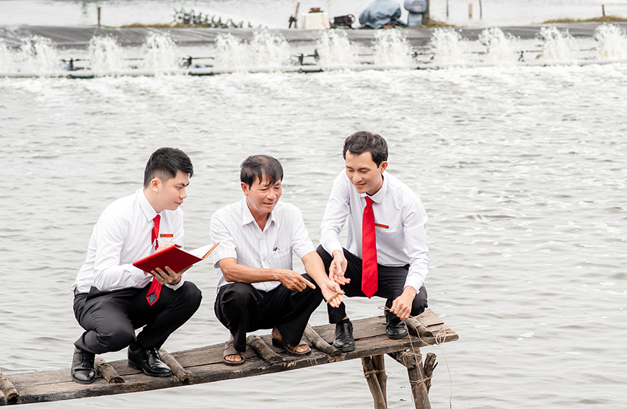 Agribank thúc đẩy phát triển chuỗi liên kết nông nghiệp an toàn