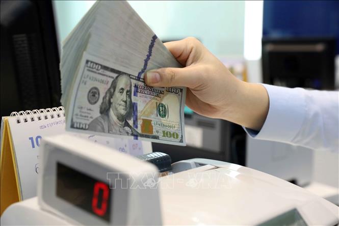 Doanh nghiệp tìm cách thích ứng biến động tỷ giá