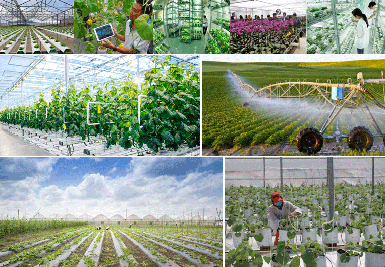 Ứng dụng công nghệ thông tin phục vụ quản lý, chỉ đạo, điều hành các chương trình mục tiêu quốc gia
