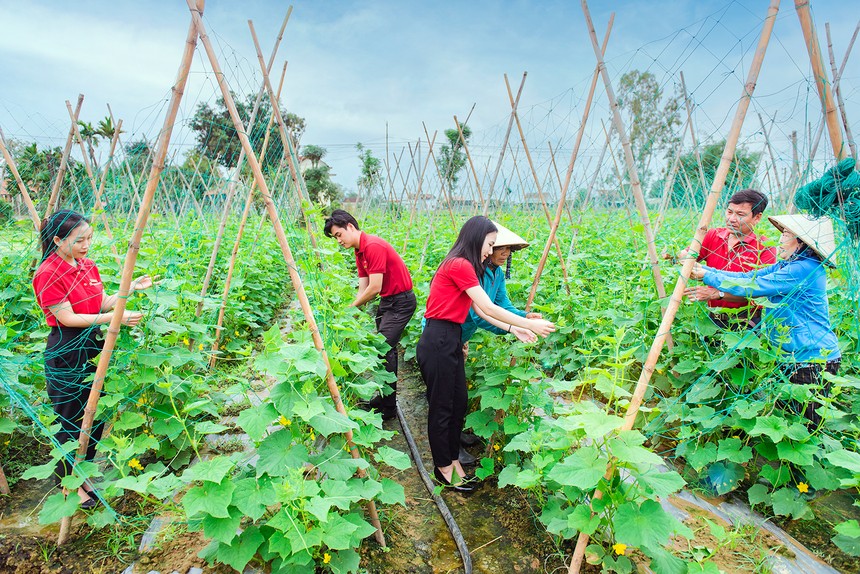 Agribank góp phần thúc đẩy tăng trưởng tín dụng xanh