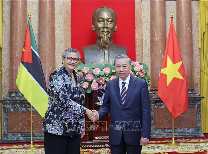 Chủ tịch nước Tô Lâm tiếp Đại sứ các nước trình Quốc thư