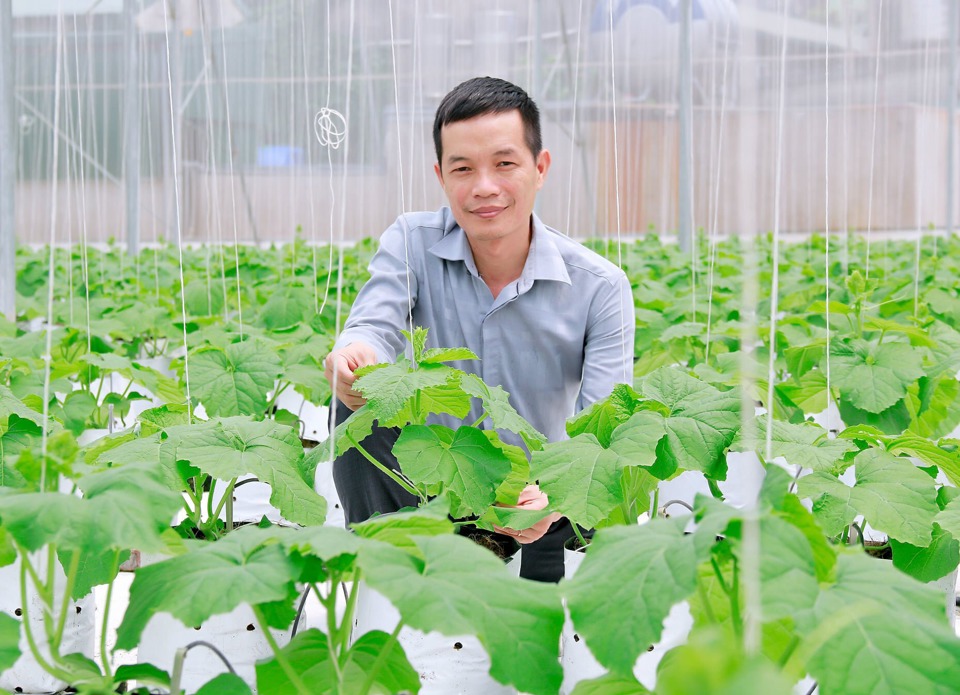 Quy hoạch vùng bãi ven sông Hồng để phát triển nông nghiệp ứng dụng công nghệ cao