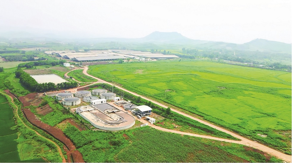 Net Zero: Bước đệm cho kỷ nguyên vươn mình