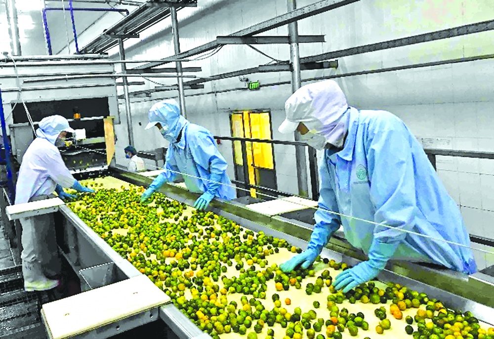 Tìm đích đến cho ưu đãi kinh tế tuần hoàn