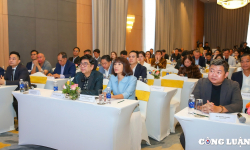 Thúc đẩy hệ sinh thái quảng cáo số Việt Nam