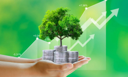 Cơ quan báo chí nỗ lực truyền thông về môi trường, hướng tới phát triển kinh tế xanh