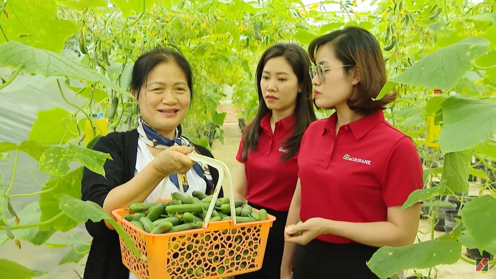 Agribank bơm 50.000 tỷ đồng tín dụng ưu đãi hỗ trợ hộ kinh doanh vượt khó, mở rộng sản xuất