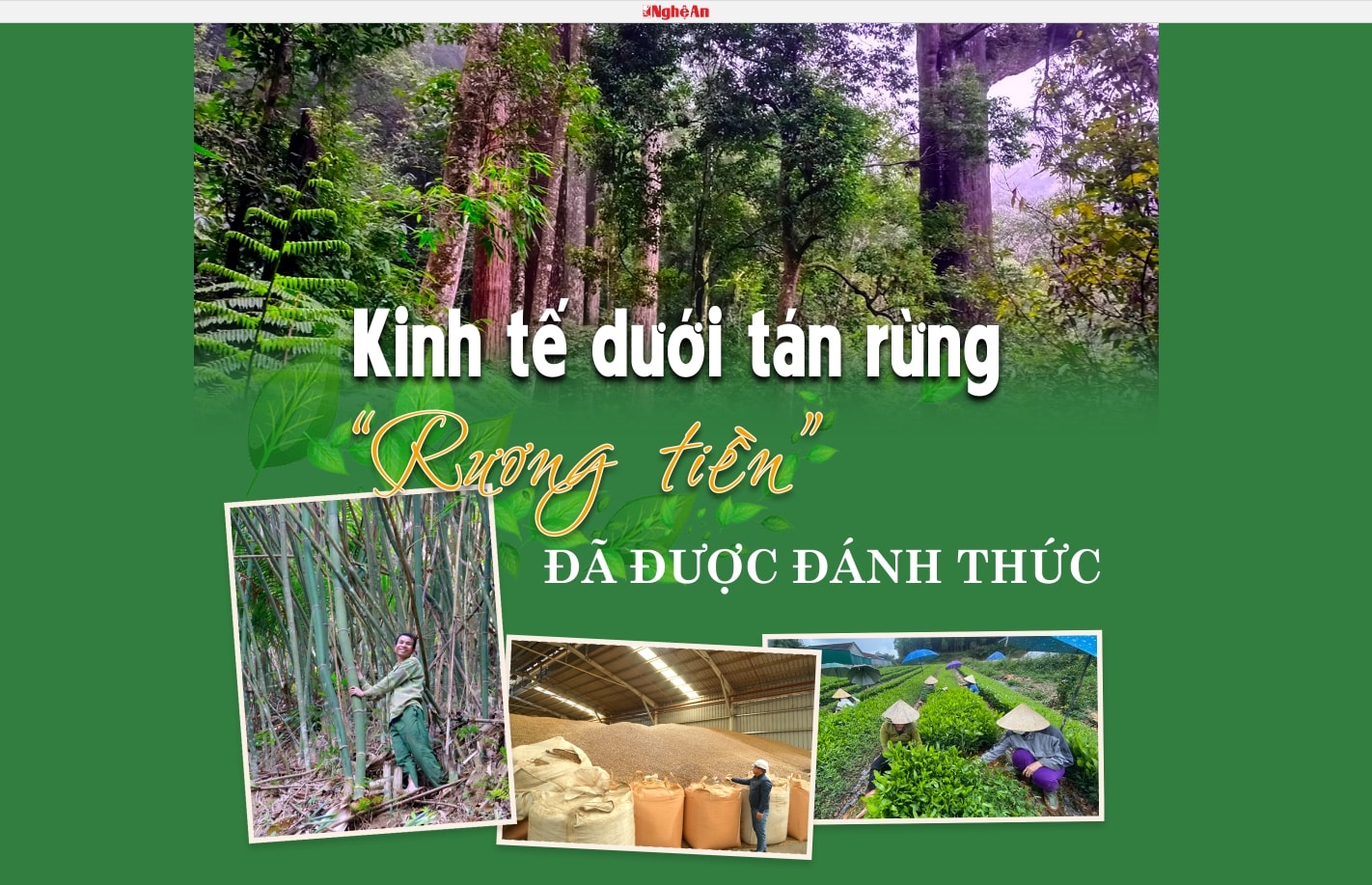 Hiệu quả từ phát triển báo chí đa phương tiện trong nhiệm vụ tuyên truyền chuyển đổi xanh