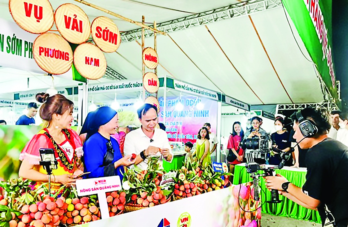 Cánh cửa mới, cơ hội mới từ chuyển đổi số