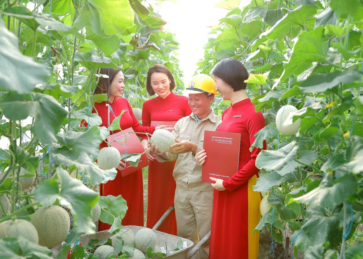 Mở đường cho tín dụng xanh phát triển bền vững