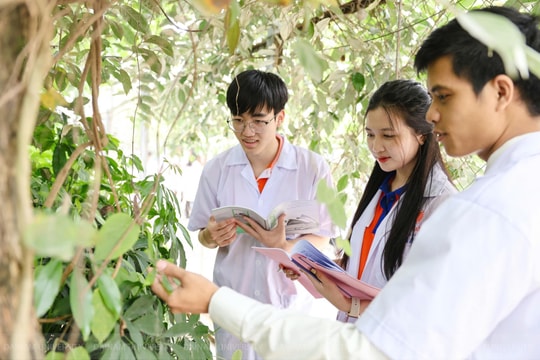 Bộ GD&ĐT công bố \'luật chơi mới\' cho kiểm định đại học