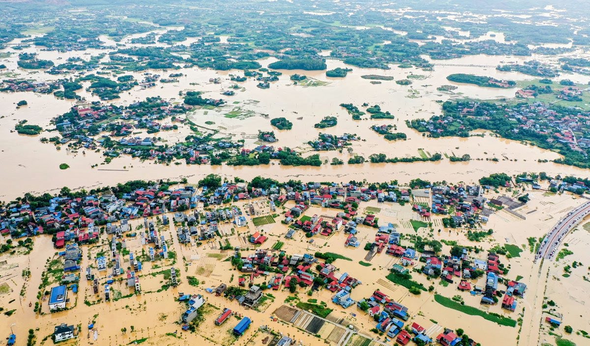 Cấp bách chung tay phục hồi sinh kế sau thiên tai