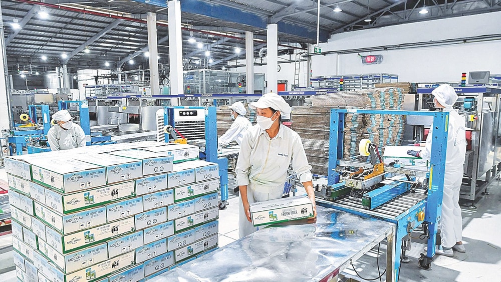 Doanh nhân, doanh nghiệp dân tộc là \'chiến sĩ trên mặt trận kinh tế\'