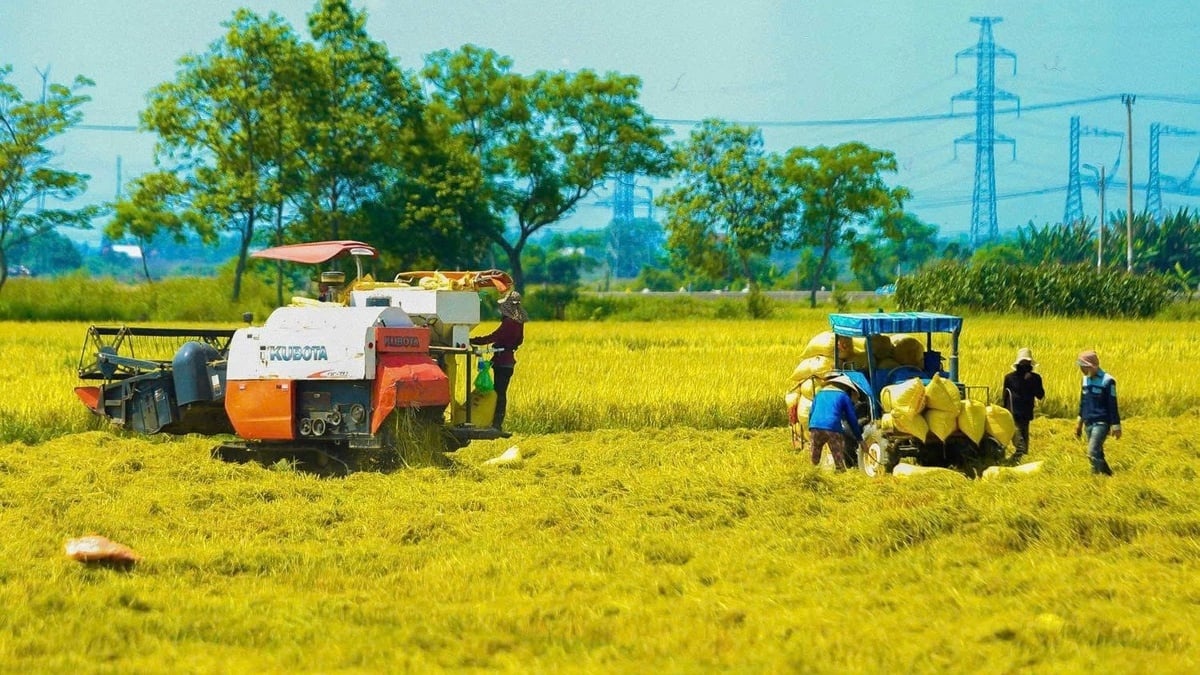 Ngành nông nghiệp và môi trường khẳng định vai trò chiến lược trong phát triển quốc gia