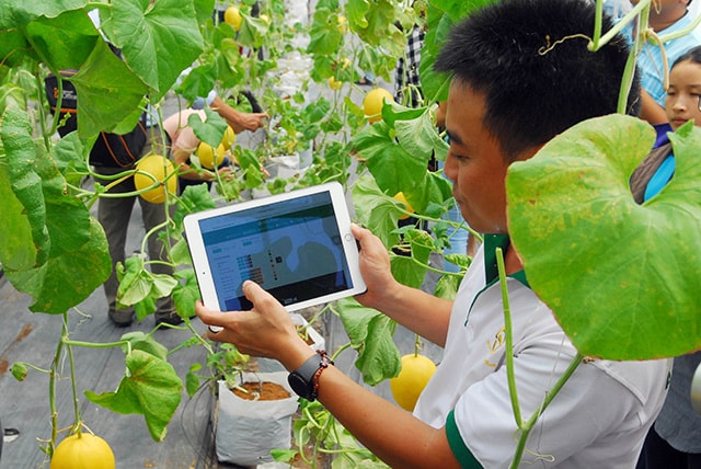 Xây dựng, triển khai chương trình hỗ trợ chuyển đổi số cho hợp tác xã ngay trong năm 2026