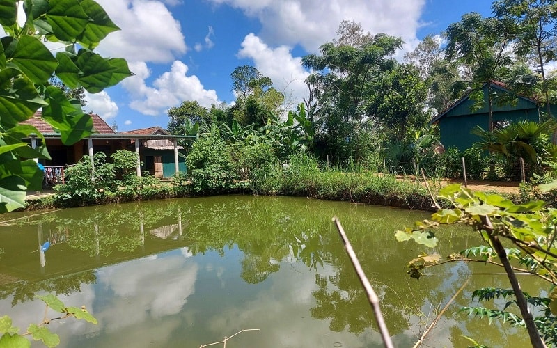 Chuyển đất vườn, ao sang đất ở: Chỉ được áp dụng mức tính tiền ưu đãi một lần