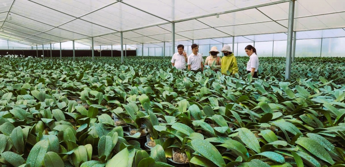 Tín dụng ngân hàng tiếp sức cho doanh nghiệp vượt khó