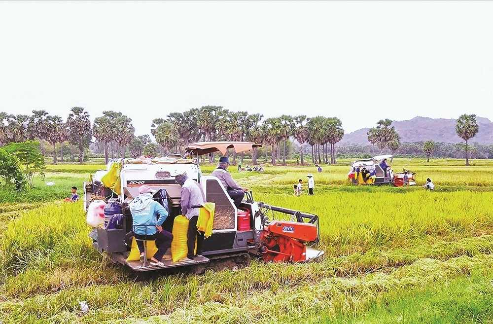 Chương trình mục tiêu quốc gia: Giai đoạn mới - đột phá mới