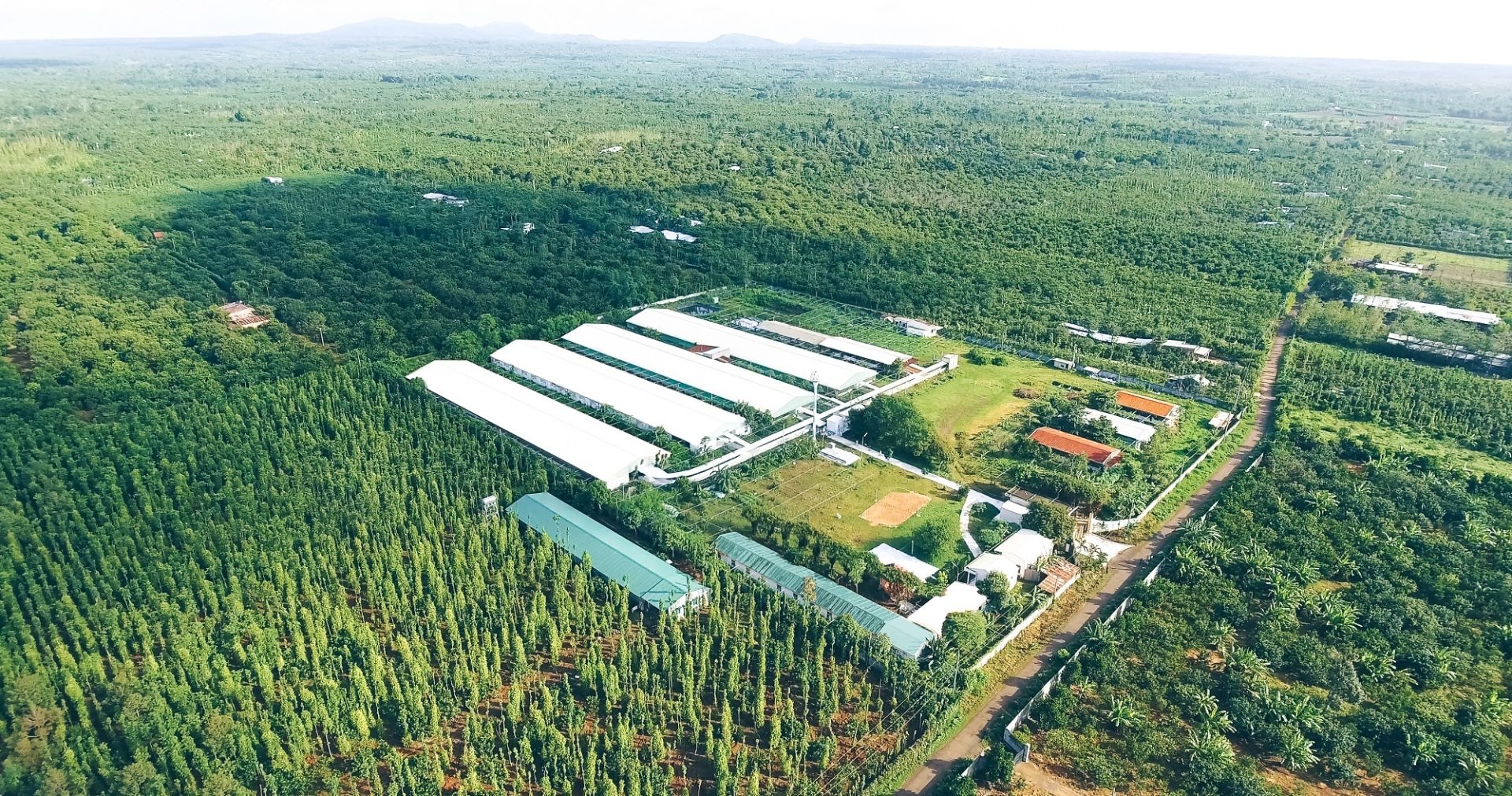 Thúc đẩy tăng trưởng xanh - lựa chọn của tương lai
