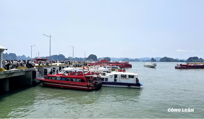 Quảng Ninh: Hơn 4.100 tỷ đồng doanh thu trong hai kỳ nghỉ lễ liên tiếp