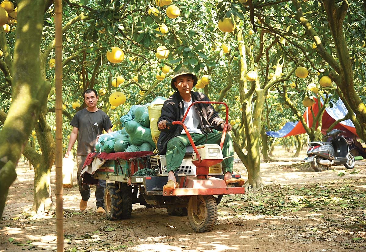 Hỗ trợ nguồn lực \
